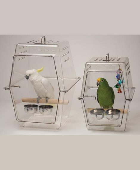 Birds Relocation Services in Chennai
