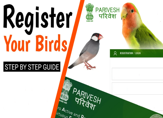 Birds License Agency Top Birds Farm License Agency In Pollachi