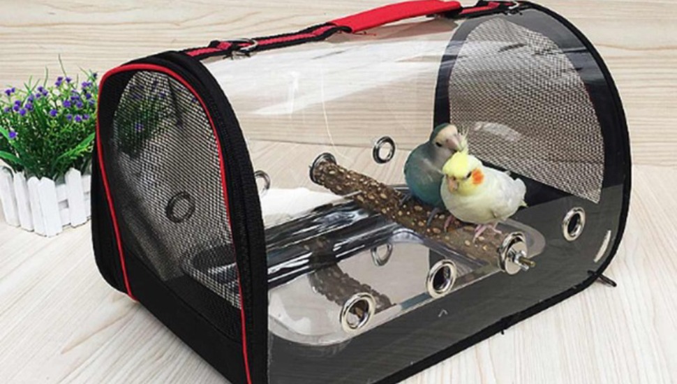 Bird Transportation Bird Shipping Services in Chennai