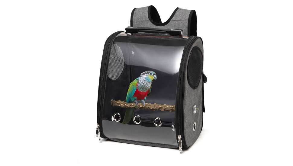 Bird Transportation Bird Shipping Services in Tiruppur