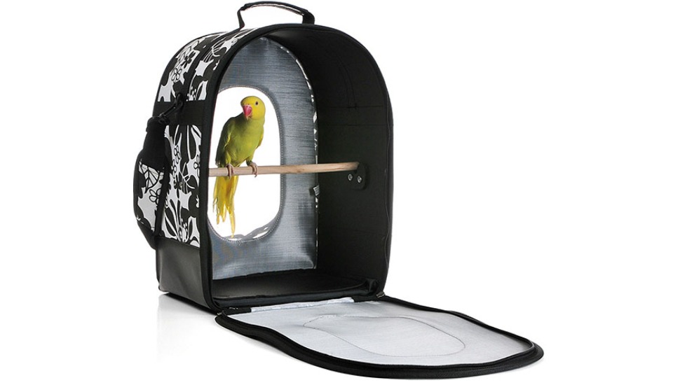 Bird Transportation Bird Transportation Services in Chennai